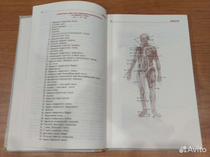 Точечный массаж В. С. Ибрагимова