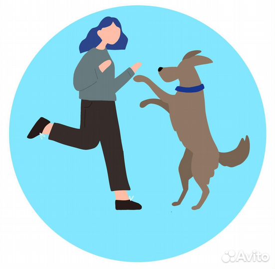 Выгул собак