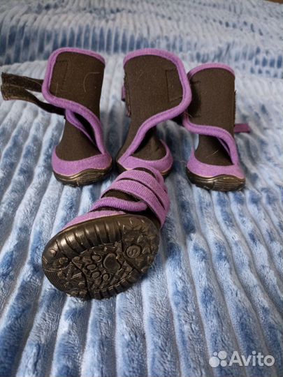 Ботинки для собак демисезонные