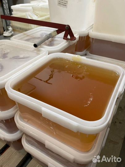 Мёд Липовый оптом