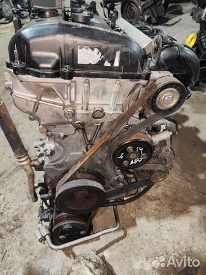 Двигатель Ford Focus qqdb