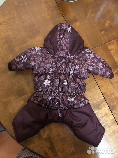 Одежда для собак