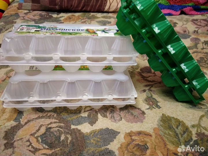 Ячейки для яиц