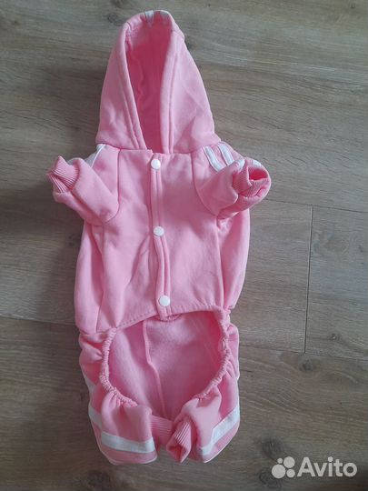 Костюм для собаки