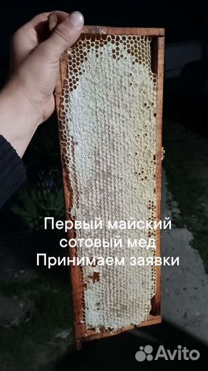 Мед и другие продукты пчеловодства