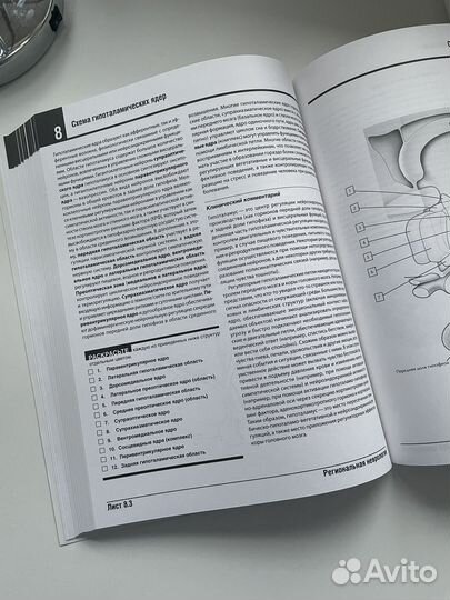 Анатомия Неттера: атлас-раскраска