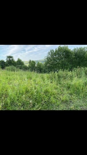 Участок 8,1 сот. (СНТ, ДНП)