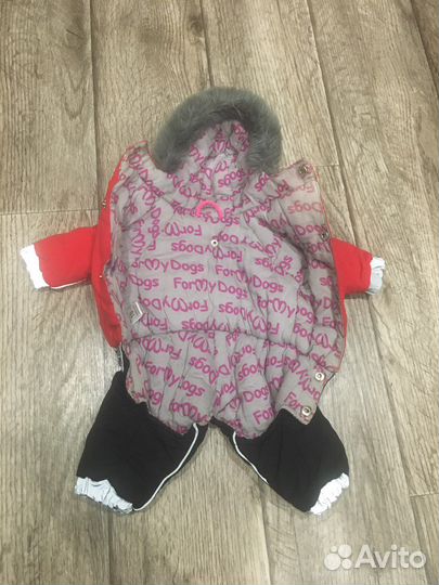 Одежда для собак