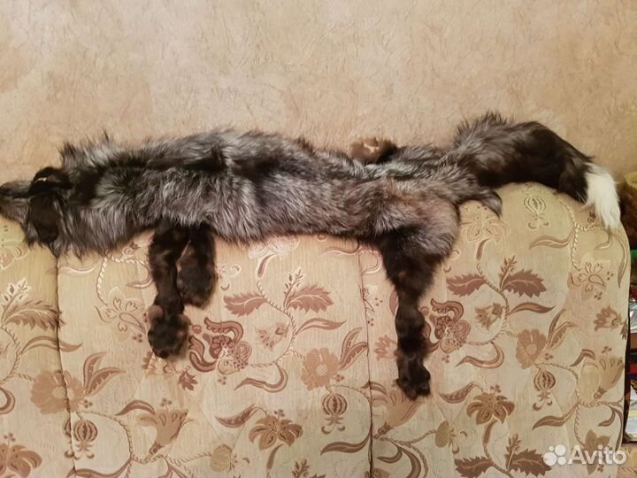 Шкура чернобурки