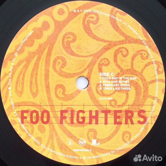 Виниловая пластинка Foo Fighters skin AND bones (1