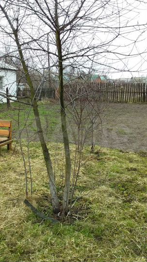 Участок 6 сот. (ИЖС)