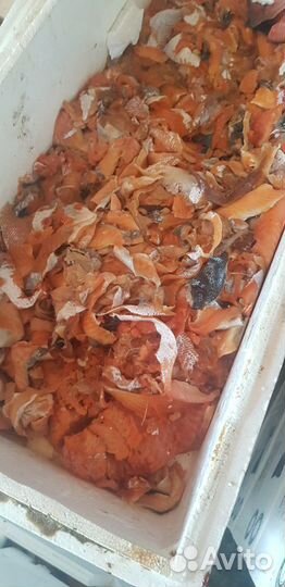 На корм животным