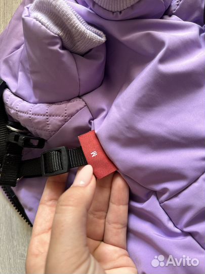 Одежда для маленьких собак м