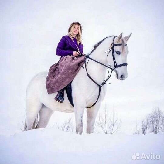Лошади