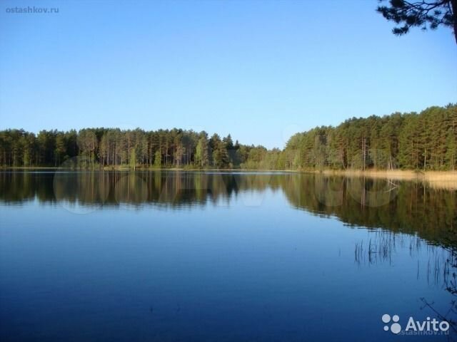 Участок 6,2 га (ИЖС)