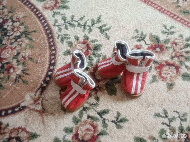 Обувь для маленьких собак