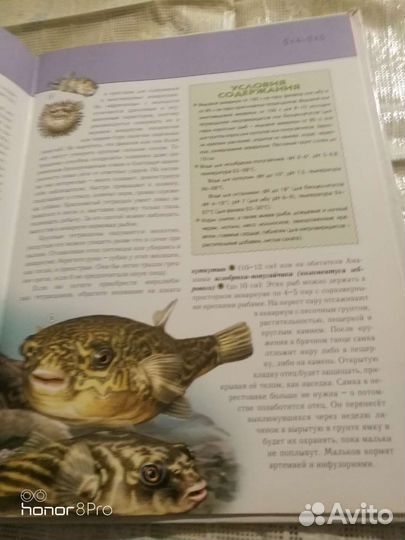 Энциклопедия