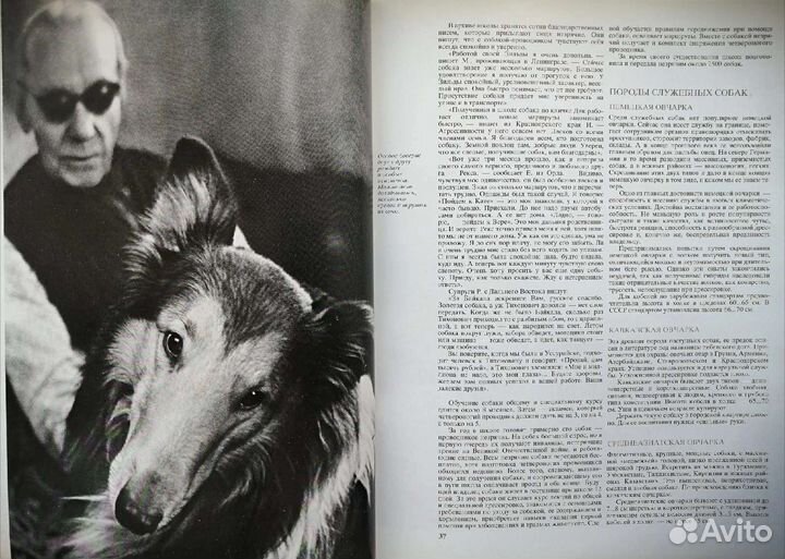 Книга о собаках 