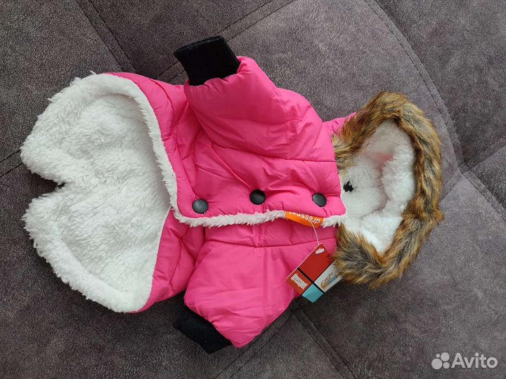 Одежда для маленьких пород собак