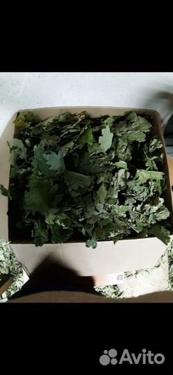 Корм для животных