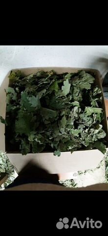 Корм для животных