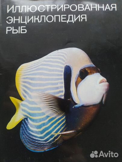 Книга. Энциклопедия рыб