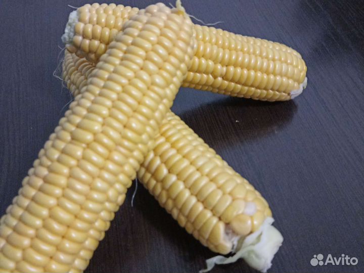 Продам кукурузу