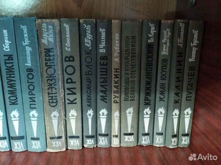 Книги из серии жзл