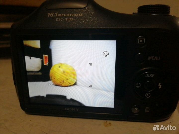 Sony DSC - H100