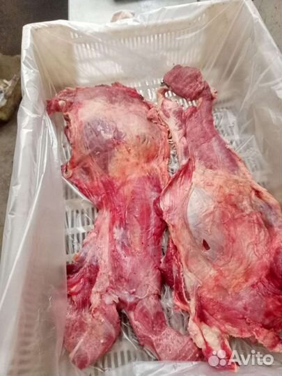 Мясо для собак