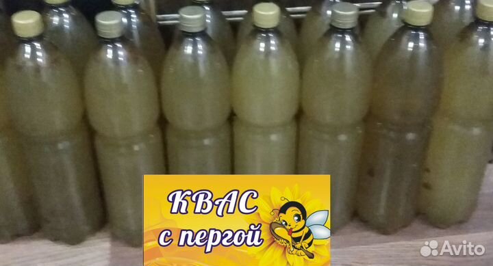 Квас на березовом соке