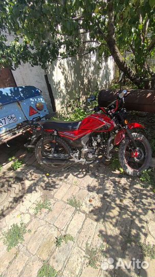 Alpha 110