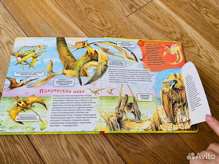 Подарочная книга Динозавры (книга с 