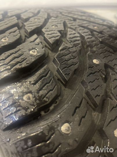 Резина Nokian type Hakapelita9 зимняя