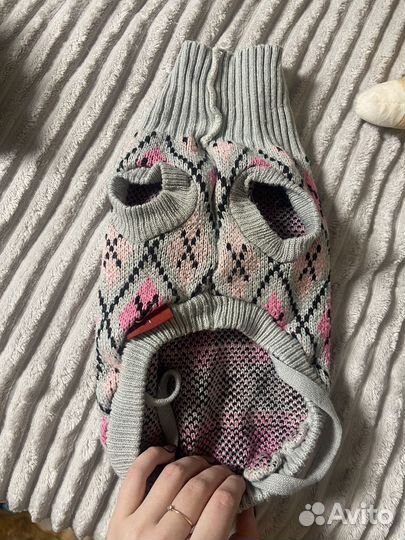 Дождевик для собак