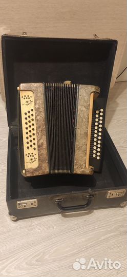 Гармонь тульская Рябинушка