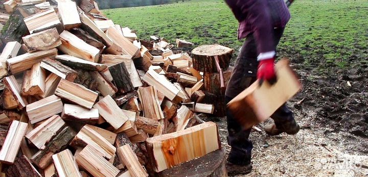 Дрова колки