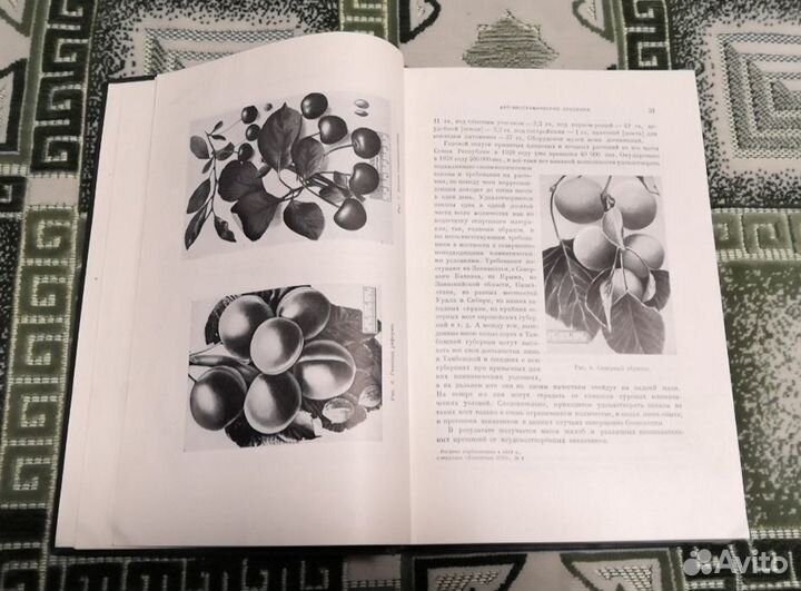 И. В. мичурин избранные сочинения