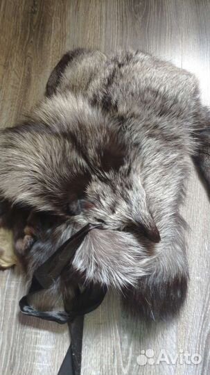 Шкурка животного