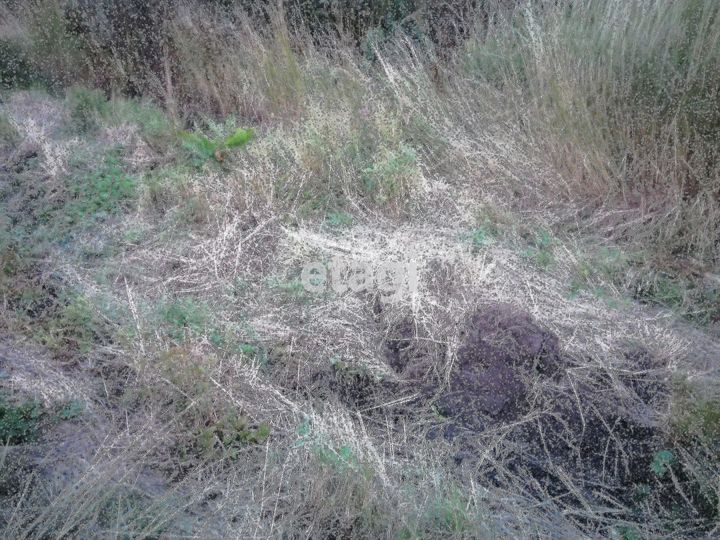 Участок 4,45 га (ИЖС)