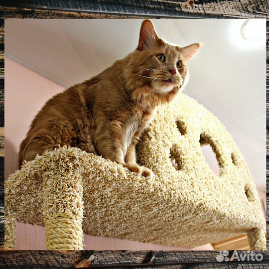 Комплекс для кошек 