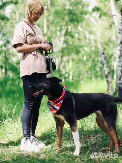 Гера ждёт своего Человека