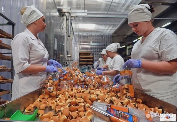 Упаковщик хлебобулочных изделий