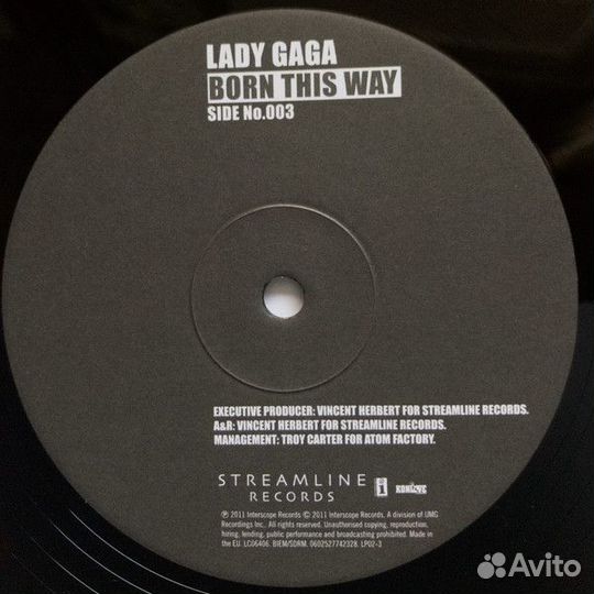 Виниловая пластинка Lady Gaga, Born This Way