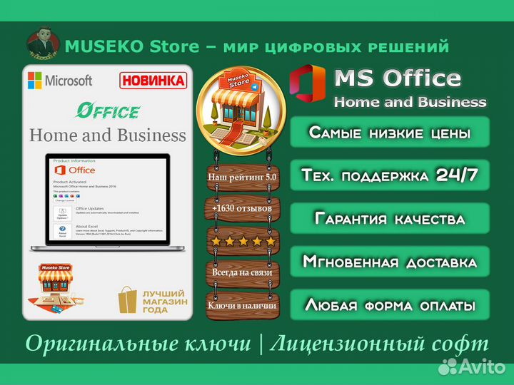 Microsoft Office Home and Business 2019 / 2013