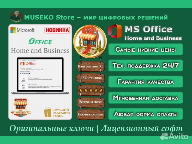 Microsoft Office Home and Business 2019 / 2013