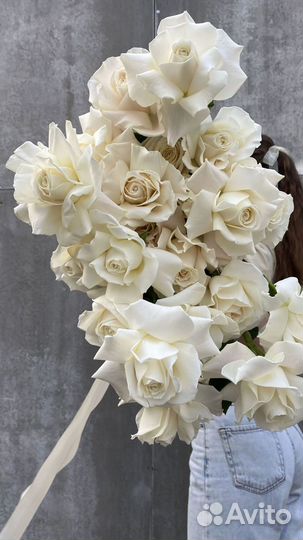 Розы сорта Playa Blanka. 23 штуки