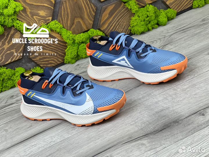 Кроссовки Nike Pegasus Trail 2