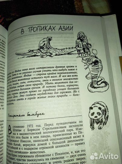 Василий Песков. Книги 