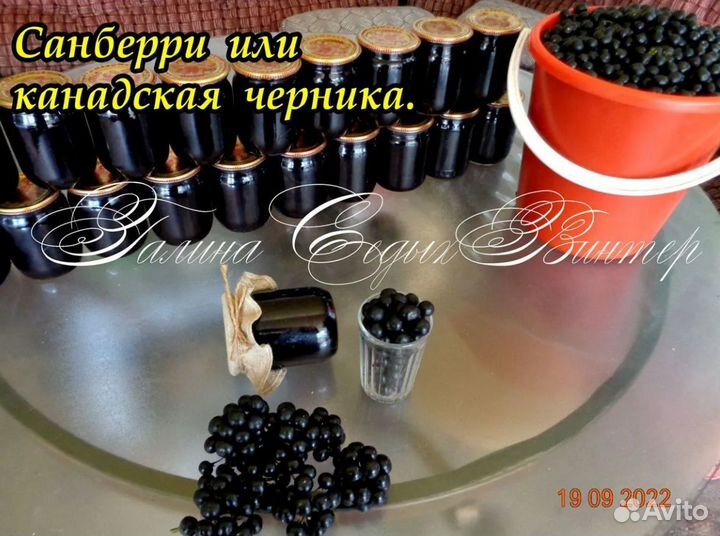 Варенье из Санберри